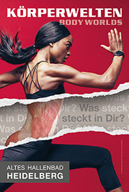 Koerperwelten